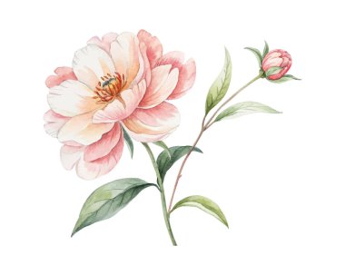 Kağıt, kart, davetiye ve tekstil baskıları için beyaz zemin üzerinde kırmızı ve yeşil çiçek bahçesi temalı suluboya dikişsiz sınır tasarımı