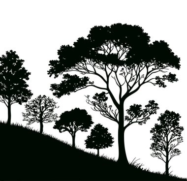 Doğa temalı vektör illüstrasyonları ve manzara tasarımı yaratıcı sanat projeleri için çizgi çizim tarzıyla zarif ağaç silueti koleksiyonu