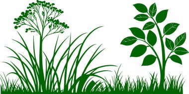 Doğa temalı tasarım projeleri ve yaratıcı çalışmalar için botanik ilhamlı illüstrasyon kavramları için ideal çimen ve bitkilerin siluet vektörü.