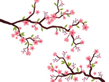 Narin pembe çiçek ve tomurcuklarla el çizimi kiraz dalı illüstrasyonu, davetiyeler, kartlar, sanat baskıları ve doğadan esinlenilmiş dekoratif tasarımlar için mükemmel.