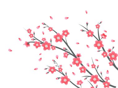 Zarif pembe çiçekleri olan güzel bir el çizimi arkaplan çizimi davetiyeler, kartlar, sanat eserleri, düğün tasarımları ve bahar temalı dekoratif projeler için mükemmel.