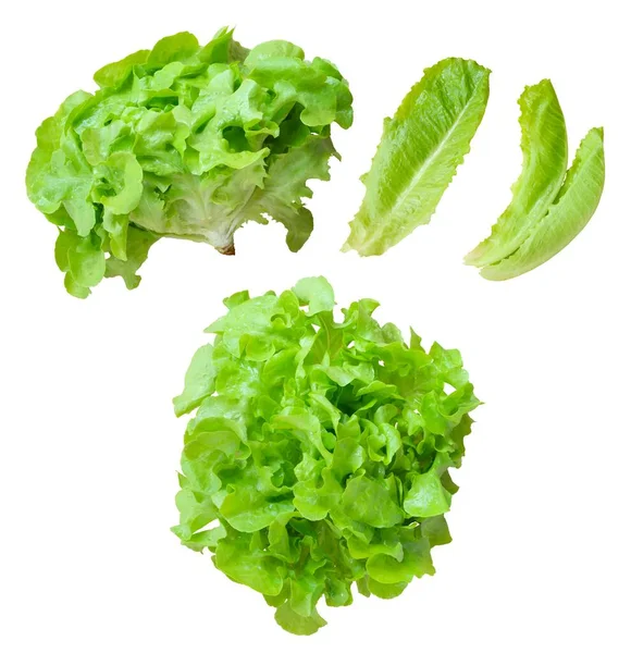 Groene Salade Bladeren Geïsoleerd Witte Achtergrond — Stockfoto