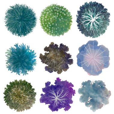 Beyaz arka planda izole edilmiş bir takım mimari planlar. B