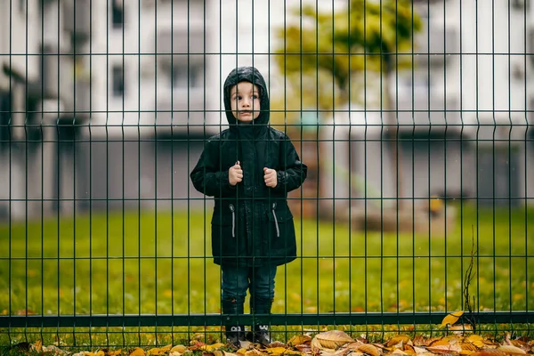 Seorang Anak Laki Laki Kecil Berwarna Biru Melihat Antara Tirai — Stok Foto