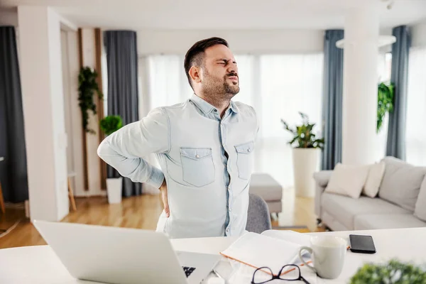 Freelancer Having Back Pain Sitting Working Home Stock Image