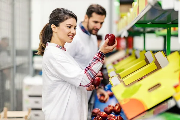Trabajador Con Colega Recogiendo Manzanas Cinta Transportadora Fábrica Alimentos — Foto de Stock