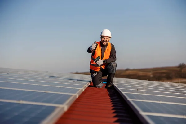 Happy Worker Crouching Next Installed Solar Panels Approving Eco Life — Stock Photo, Image
