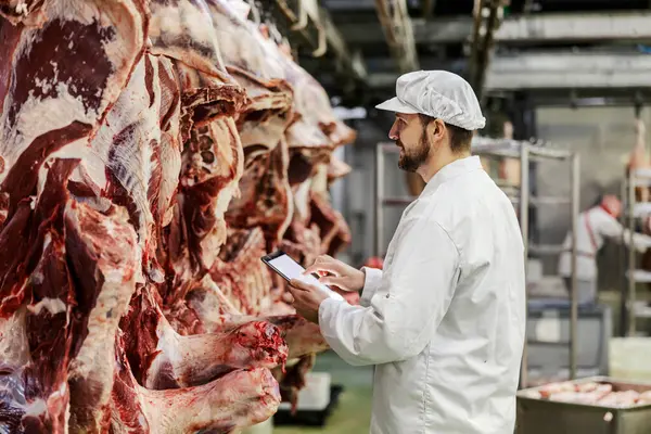 肉工場のスーパーバイザーは タブレットを使用しながら肉の品質を評価しています ロイヤリティフリーのストック画像