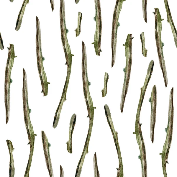 苔の水彩シームレスパターンと乾燥枝 デザインやイラストを飾るためのテンプレート — ストック写真