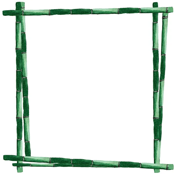 Fyrkantig Ram Grön Bambu Stam Akvarell Mall För Införande Reklam Royaltyfria Stockbilder
