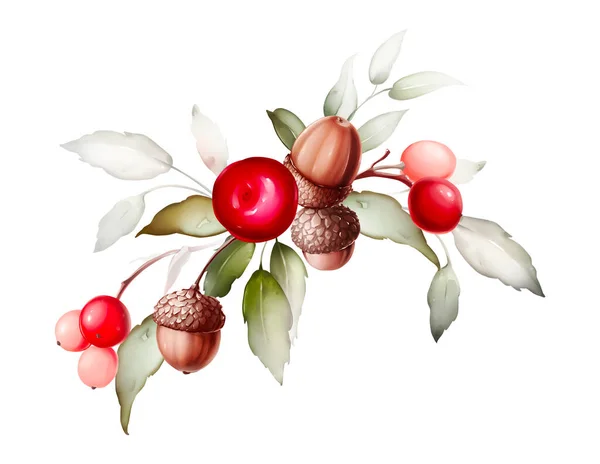 Vánoční Rostliny Skladby Bílém Pozadí — Stock fotografie
