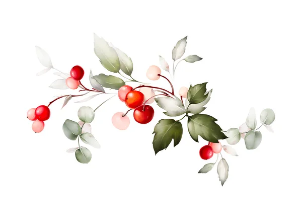 Christmas Plant Compositions White Background — Stock Photo, Image