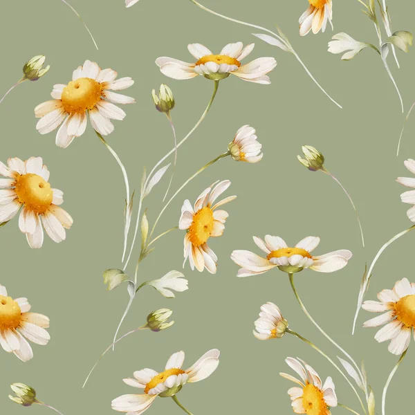 Seamless pattern with delicate daisies on a green background