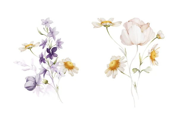 Два Букета Диких Цветов Акварельном Стиле Белом Фоне — стоковое фото