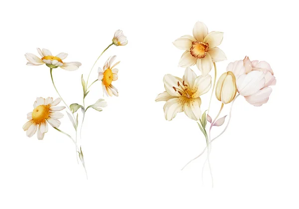 白色背景上两束水彩画风格的野花 — 图库照片
