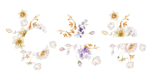 白色背景上有野花的花框 — 图库照片