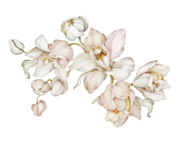 Tarjeta Felicitación Con Orquídeas Estilo Acuarela — Foto de Stock