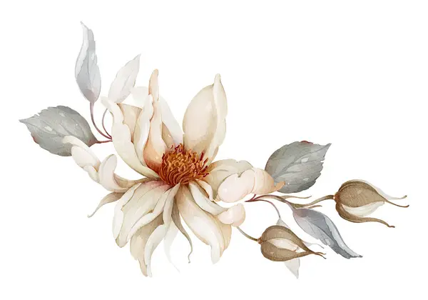 Blumenschmuck Mit Beige Blühenden Rosen Auf Weißem Hintergrund Stockfoto