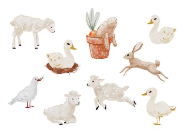 Paskalya Kartları İçin Tuhaf Suluboya Çiftlik Hayvanları Sevimli Kuzular, Ördekler, Tavşanlar ve Kırsal Pastel Tonlardaki Kuşlar