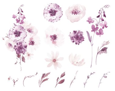 Suluboya Çiçekler ve Yapraklar