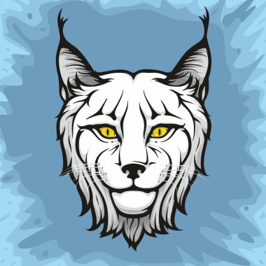 vector illustration of a  lynx bobcat