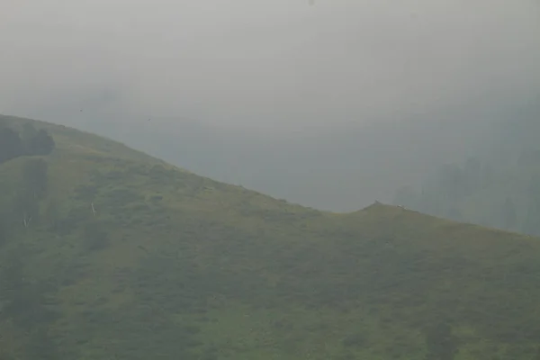 Summer mountains fog weather landscape
