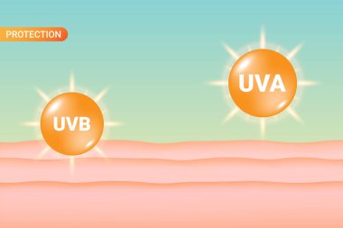 Uva ve UVB koruması. Vektör İllüstrasyonu