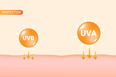 Uva ve UVB koruması. Vektör İllüstrasyonu