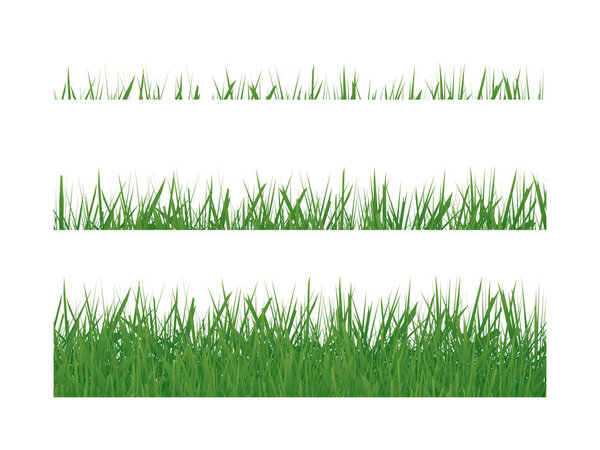 Set Green Grass Isolated On White Background. Vector