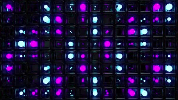 Neon Grid Digital Visuell Animation Loopas Sömlös Abstrakt Färgad Geometrisk — Stockvideo
