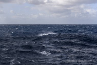 Güzel deniz manzarası. Dalgalar, bulutlar ve güzel ışıklandırmalı gökyüzü. Fırtınalı deniz, kötü hava. Gale. Dalgalı deniz. Beaufort ölçeği 6.