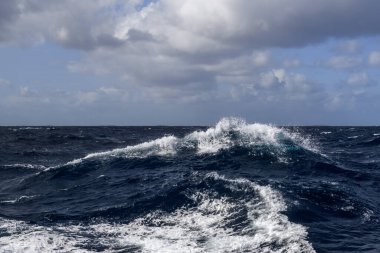 Güzel deniz manzarası. Dalgalar, bulutlar ve güzel ışıklandırmalı gökyüzü. Fırtınalı deniz, kötü hava. Gale. Dalgalı deniz. Beaufort ölçeği 6.