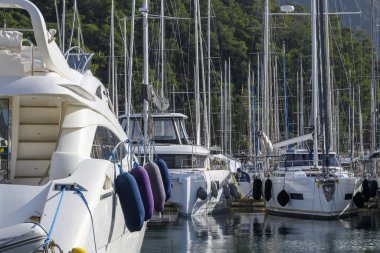 Yachts moored in marina. Mediterranean yacht port with sailing boats. Yachting concept.