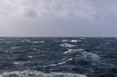 Güzel deniz manzarası. Dalgalar, bulutlar ve güzel ışıklandırmalı gökyüzü. Fırtınalı deniz, kötü hava. Gale. Dalgalı deniz.