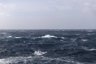 Güzel deniz manzarası. Dalgalar, bulutlar ve güzel ışıklandırmalı gökyüzü. Fırtınalı deniz, kötü hava. Gale. Dalgalı deniz.