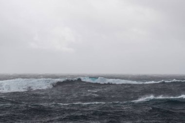 Güzel deniz manzarası. Dalgalar, bulutlar ve güzel ışıklandırmalı gökyüzü. Fırtınalı deniz, kötü hava. Gale. Dalgalı deniz.