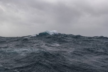 Güzel deniz manzarası. Dalgalar, bulutlar ve güzel ışıklandırmalı gökyüzü. Fırtınalı deniz, kötü hava. Gale. Dalgalı deniz.