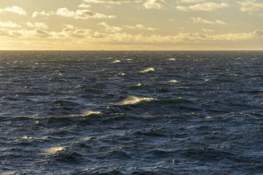 Güzel deniz manzarası. Dalgalar, bulutlar ve güzel ışıklandırmalı gökyüzü. Altın saat.