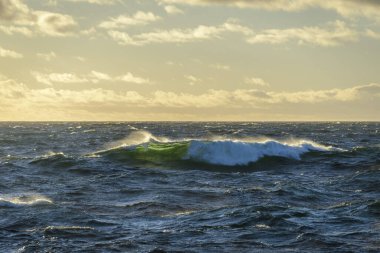 Güzel deniz manzarası. Dalgalar, bulutlar ve güzel ışıklandırmalı gökyüzü. Altın saat.