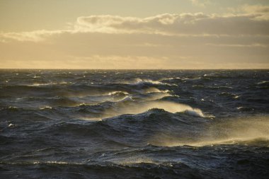 Güzel deniz manzarası. Dalgalar, bulutlar ve güzel ışıklandırmalı gökyüzü. Altın saat.