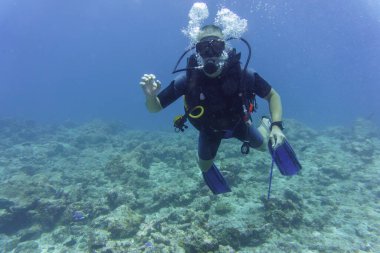 Scuba dalgıcı kuru sularda iyi görünüyor. Sualtı el işaretleri. Dalış konsepti. Erkek dalgıç. Su altı fotoğrafçılığı.