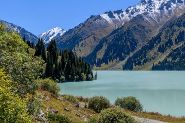 Güzel dağ gölü, orman ve dağlar. Yaz zamanı Büyük Almaty Gölü. Kazakistan 'daki dağ manzarası.