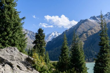 Güzel dağ manzarası, yaz mevsiminde orman ve dağlar. Kazakistan 'daki vadi.