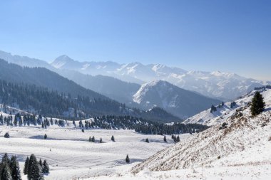 Güzel kış dağ manzarası. Karla kaplı çam ağaçları. Karlı dağlar ve açık mavi bir gökyüzü. Kış dönemi. Kazakistan.