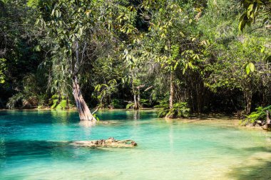Kuang Si Waterfall, Laos. Beautiful turquoise water surrounded by trees.