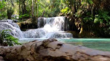 Kuang Si Şelalesi, Laos. Taşlardan su akıyor. Ağaçlarla çevrili güzel turkuaz su.