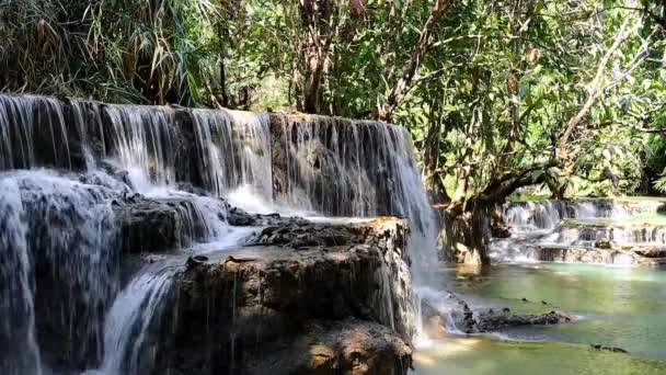 Kuang Şelalesi Laos Taşlardan Akıyor Ağaçlarla Çevrili Güzel Turkuaz — Stok video