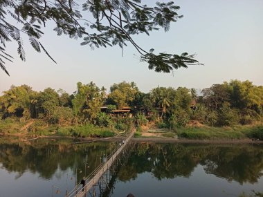 Mekong nehri üzerindeki bambu köprüsü, Laos.