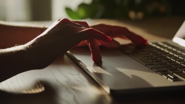 Kobieta Ręce Przewiń Laptop Touchpad Zamknij Świetle Słonecznym Pomieszczeniach Zwolnionym — Wideo stockowe