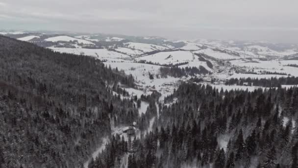 Letecký Pohled Scénické Hory Pokryté Sněhem Karpatské Kopce Během Zimy — Stock video